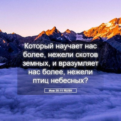Picture 05 - Иов 35:11 RUSV - Который научает нас более, - Bible Verse Picture