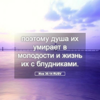 Picture 05 - Иов 36:14 RUSV - поэтому душа их умирает в - Bible Verse Picture