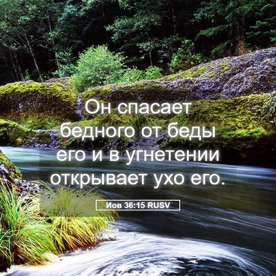 Picture 05 - Иов 36:15 RUSV - Он спасает бедного от беды - Bible Verse Picture