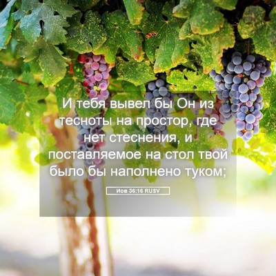 Picture 05 - Иов 36:16 RUSV - И тебя вывел бы Он из - Bible Verse Picture