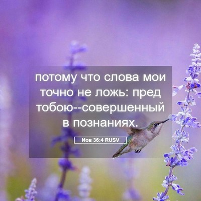Picture 05 - Иов 36:4 RUSV - потому что слова мои точно - Bible Verse Picture