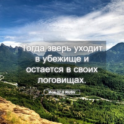Picture 05 - Иов 37:8 RUSV - Тогда зверь уходит в - Bible Verse Picture