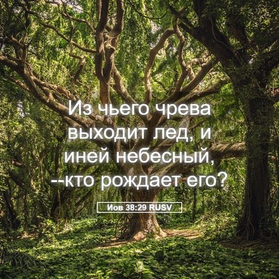 Picture 05 - Иов 38:29 RUSV - Из чьего чрева выходит лед, - Bible Verse Picture