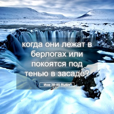 Picture 05 - Иов 38:40 RUSV - когда они лежат в берлогах - Bible Verse Picture