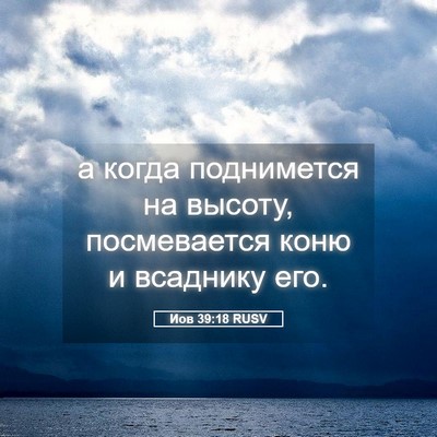 Picture 05 - Иов 39:18 RUSV - а когда поднимется на - Bible Verse Picture