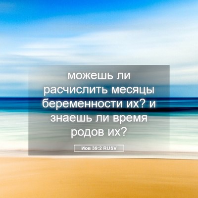 Picture 05 - Иов 39:2 RUSV - можешь ли расчислить - Bible Verse Picture