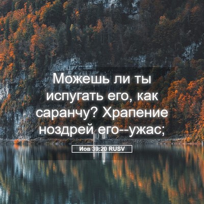 Picture 05 - Иов 39:20 RUSV - Можешь ли ты испугать его, - Bible Verse Picture