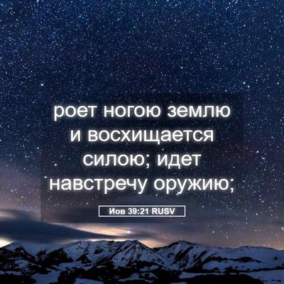 Picture 05 - Иов 39:21 RUSV - роет ногою землю и - Bible Verse Picture