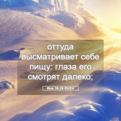Picture 05 - Иов 39:29 RUSV - оттуда высматривает себе - Bible Verse Picture