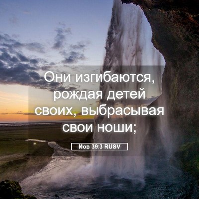 Picture 05 - Иов 39:3 RUSV - Они изгибаются, рождая - Bible Verse Picture