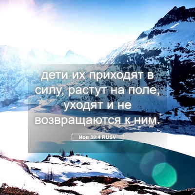 Picture 05 - Иов 39:4 RUSV - дети их приходят в силу, - Bible Verse Picture