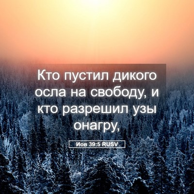 Picture 05 - Иов 39:5 RUSV - Кто пустил дикого осла на - Bible Verse Picture
