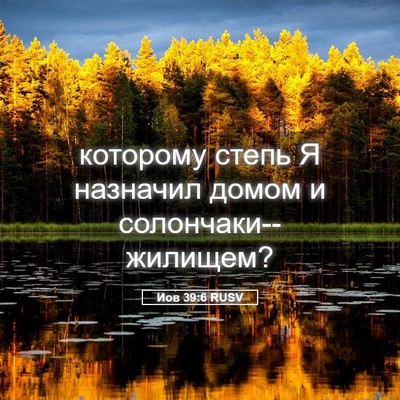 Picture 05 - Иов 39:6 RUSV - которому степь Я назначил - Bible Verse Picture