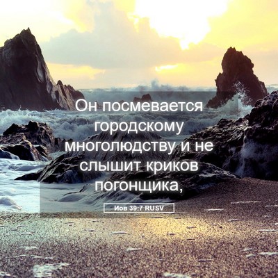 Picture 05 - Иов 39:7 RUSV - Он посмевается городскому - Bible Verse Picture