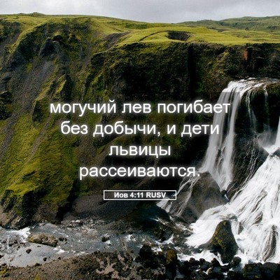 Picture 05 - Иов 4:11 RUSV - могучий лев погибает без - Bible Verse Picture