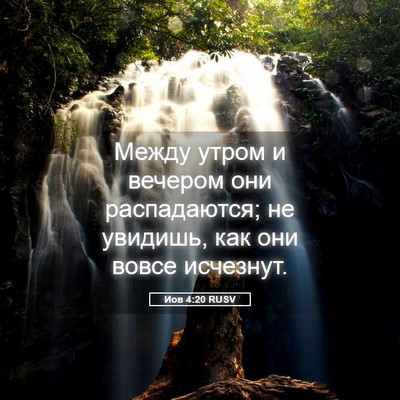 Picture 05 - Иов 4:20 RUSV - Между утром и вечером они - Bible Verse Picture