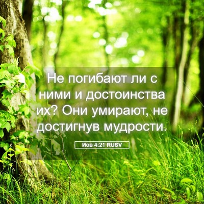 Picture 05 - Иов 4:21 RUSV - Не погибают ли с ними и - Bible Verse Picture