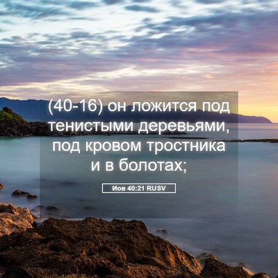 Picture 05 - Иов 40:21 RUSV - (40-16) он ложится под - Bible Verse Picture