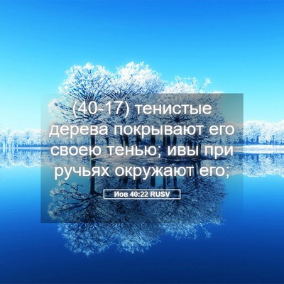 Picture 05 - Иов 40:22 RUSV - (40-17) тенистые дерева - Bible Verse Picture