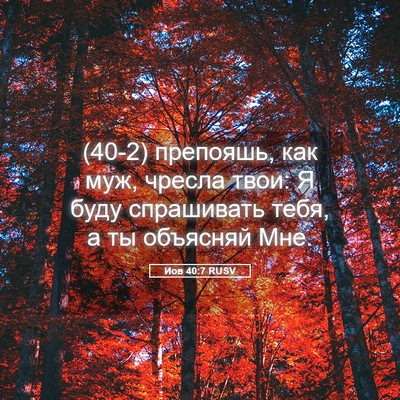Picture 05 - Иов 40:7 RUSV - (40-2) препояшь, как муж, - Bible Verse Picture