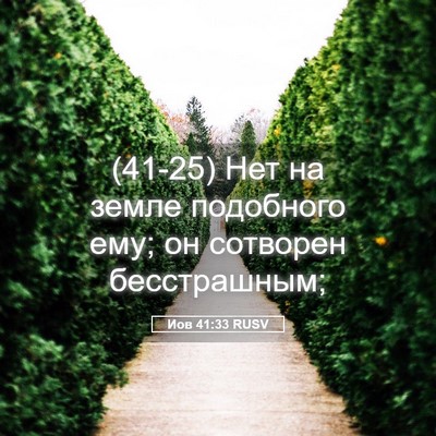 Picture 05 - Иов 41:33 RUSV - (41-25) Нет на земле подобного - Bible Verse Picture