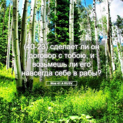 Picture 05 - Иов 41:4 RUSV - (40-23) сделает ли он договор - Bible Verse Picture