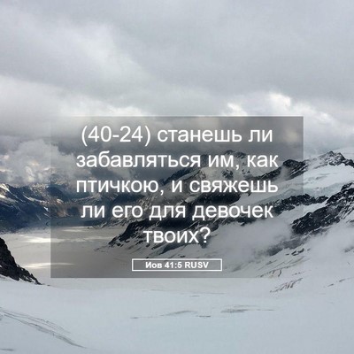 Picture 05 - Иов 41:5 RUSV - (40-24) станешь ли - Bible Verse Picture
