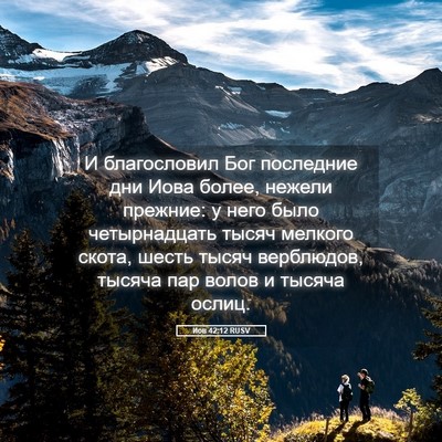 Picture 05 - Иов 42:12 RUSV - И благословил Бог - Bible Verse Picture
