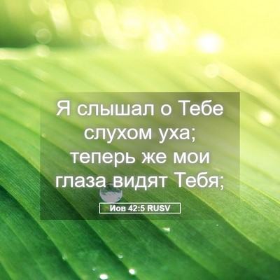 Picture 05 - Иов 42:5 RUSV - Я слышал о Тебе слухом уха; - Bible Verse Picture