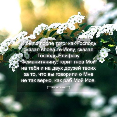Picture 05 - Иов 42:7 RUSV - И было после того, как - Bible Verse Picture