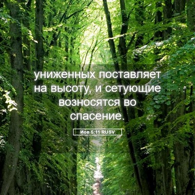 Picture 05 - Иов 5:11 RUSV - униженных поставляет на - Bible Verse Picture