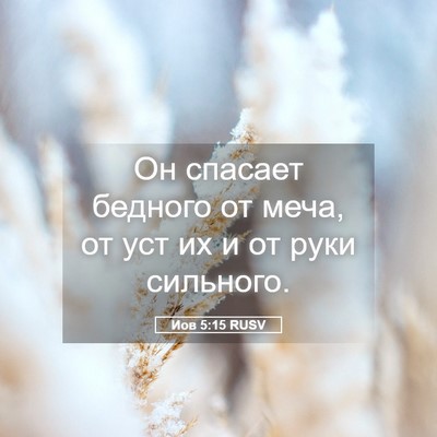 Picture 05 - Иов 5:15 RUSV - Он спасает бедного от меча, - Bible Verse Picture