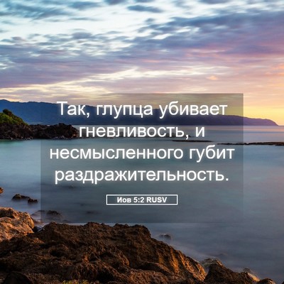 Picture 05 - Иов 5:2 RUSV - Так, глупца убивает - Bible Verse Picture