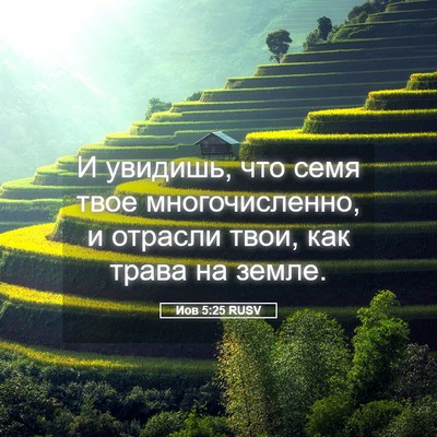 Picture 05 - Иов 5:25 RUSV - И увидишь, что семя твое - Bible Verse Picture