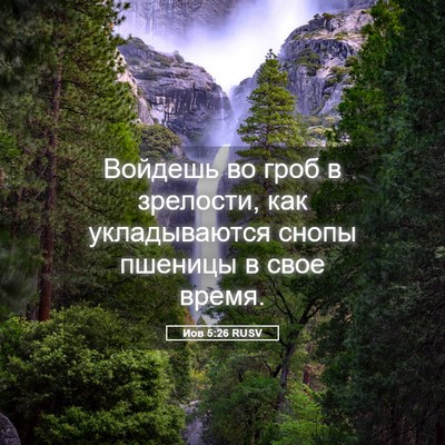 Picture 05 - Иов 5:26 RUSV - Войдешь во гроб в зрелости, - Bible Verse Picture