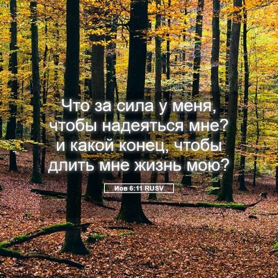 Picture 05 - Иов 6:11 RUSV - Что за сила у меня, чтобы - Bible Verse Picture