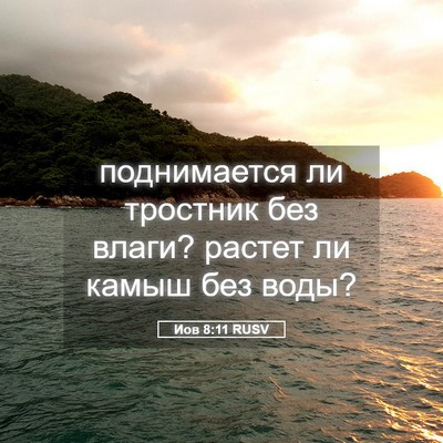 Picture 05 - Иов 8:11 RUSV - поднимается ли тростник - Bible Verse Picture