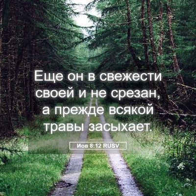 Picture 05 - Иов 8:12 RUSV - Еще он в свежести своей и - Bible Verse Picture
