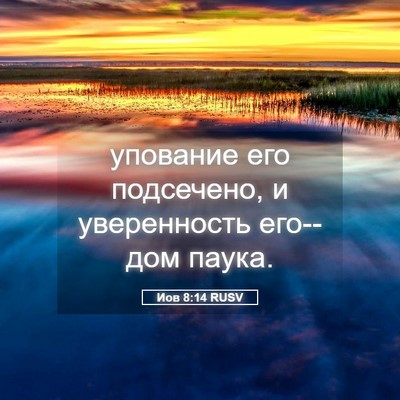 Picture 05 - Иов 8:14 RUSV - упование его подсечено, и - Bible Verse Picture