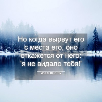 Picture 05 - Иов 8:18 RUSV - Но когда вырвут его с места - Bible Verse Picture