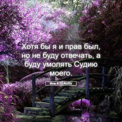 Picture 05 - Иов 9:15 RUSV - Хотя бы я и прав был, но не - Bible Verse Picture