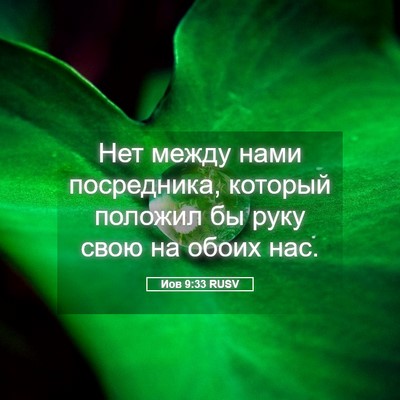 Picture 05 - Иов 9:33 RUSV - Нет между нами посредника, - Bible Verse Picture