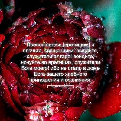 Picture 05 - Иоиль 1:13 RUSV - Препояшьтесь [вретищем] и - Bible Verse Picture
