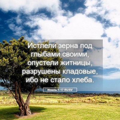 Picture 05 - Иоиль 1:17 RUSV - Истлели зерна под глыбами - Bible Verse Picture