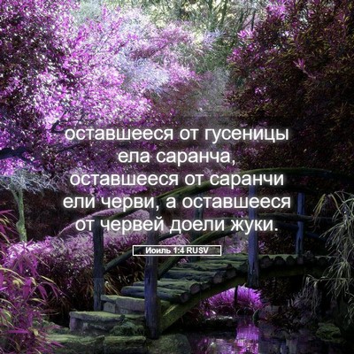 Picture 05 - Иоиль 1:4 RUSV - оставшееся от гусеницы ела - Bible Verse Picture