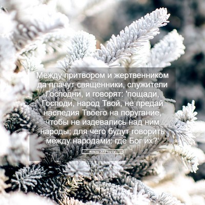Picture 05 - Иоиль 2:17 RUSV - Между притвором и - Bible Verse Picture