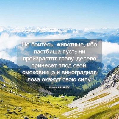 Picture 05 - Иоиль 2:22 RUSV - Не бойтесь, животные, ибо - Bible Verse Picture