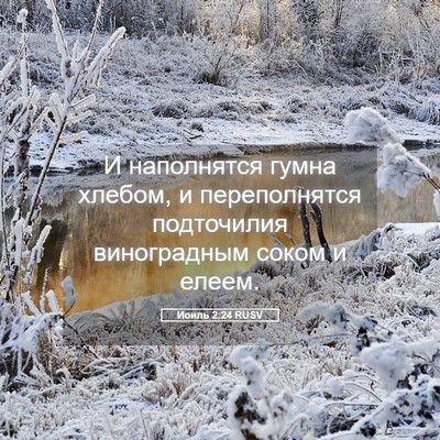 Picture 05 - Иоиль 2:24 RUSV - И наполнятся гумна хлебом, - Bible Verse Picture