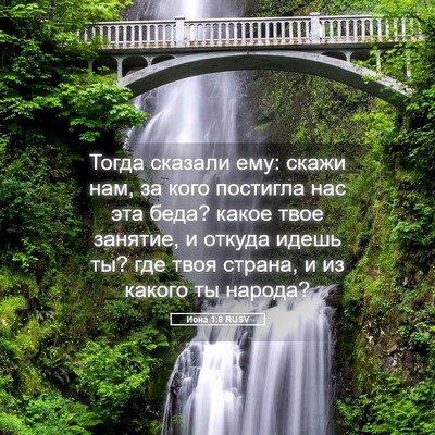 Picture 05 - Иона 1:8 RUSV - Тогда сказали ему: скажи - Bible Verse Picture
