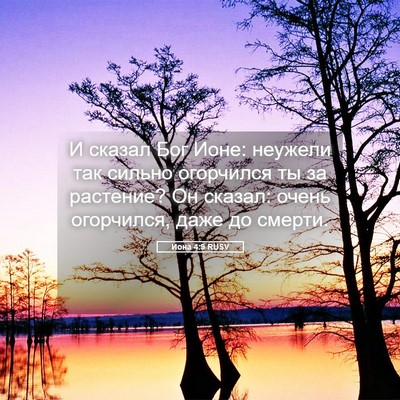 Picture 05 - Иона 4:9 RUSV - И сказал Бог Ионе: неужели - Bible Verse Picture